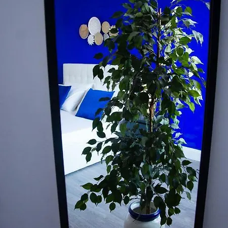 Ama Casa Appartamento Pisa